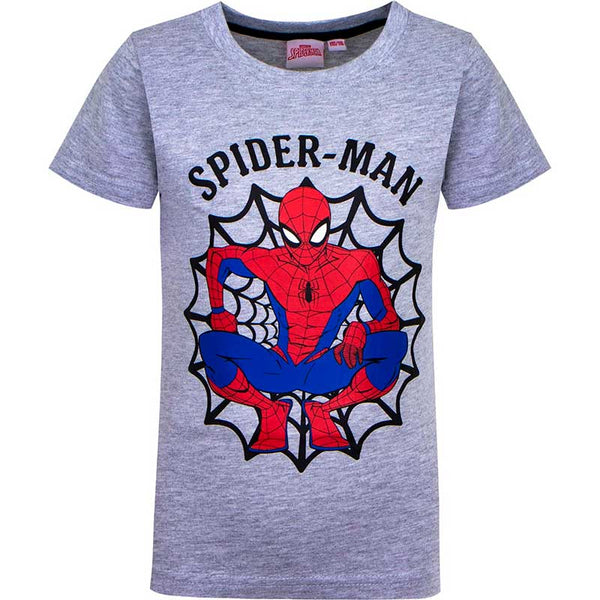 Spiderman Tshirt - Grå