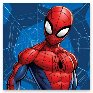 Spiderman Web Vaskeklud 30 x 30