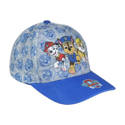 Paw Patrol Kasket