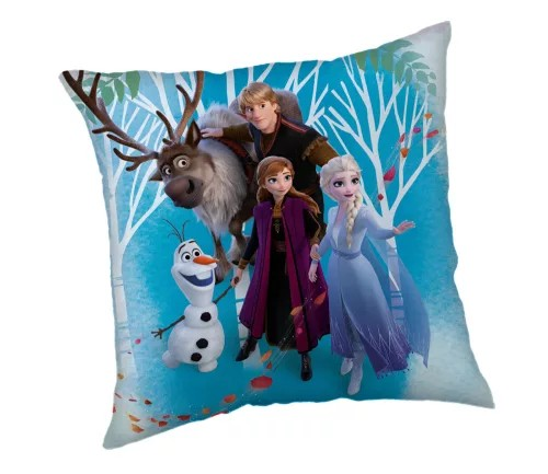 Frozen 2 Pyntepude - Family