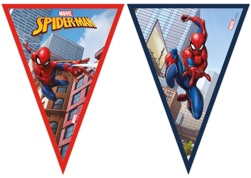 Spiderman Fighter vimpel banner - 9 Flag